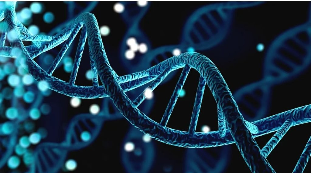 Role of Genetics in the Healthcare