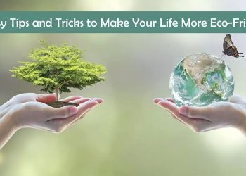 Eco-Friendly