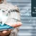 10 Key Mobile App Security Best Practices
