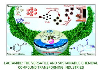 Lactamide