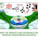 Lactamide