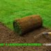 How to Start a Landscaping Business: 7 Essential Tips