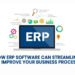 How ERP Software Can Streamline and Improve Your Business Processes