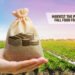 Harvest the Profit by Growing Fall Food for Your Business