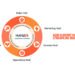 How HubSpot Managed Services Streamline Business Processes