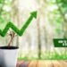 How To Ensure Your Business Is Really Eco-Friendly