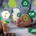 How Businesses Can Show Commitment To Sustainability