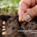10 Essential Steps in the Processing of Crops for Better Yield