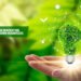 How Sustainability and Innovation Are Transforming Modern Businesses