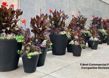 Planters Companies Reviewed