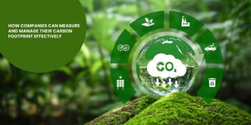 Carbon Footprint