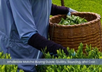 Wholesale Matcha Buying Guide